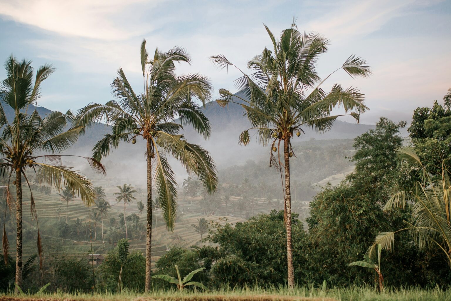 Galungan and Kuningan A Celebration of Bali's Spiritual Essence